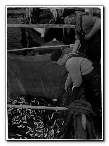 Vid fiskebåtarna. Mitten av 50-talet. Verner Söderberg
